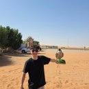 댄밖공원 | 몰디브 신혼여행 후기(에메랄드 파루푸시) 2일차