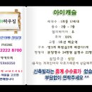 아이캐슬 네이버블로그
