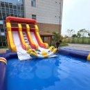 주식회사 소금쟁이 이미지