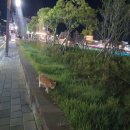 제43회 통영예술제 이미지