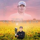 월드투어(주) 네이버블로그