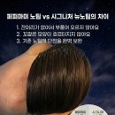 머리소식미용실