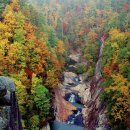 숲속풍경 이미지