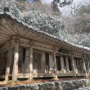 약점, 백련사와 다산, 금곡사 3층석탑, 영랑생가와 모란, 호국도량 정수사, 무위사, 월남사지 (21/228)