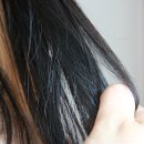 촉촉한 헤어팩 극손상모를 위한 올리브영 단백질 트리트먼트