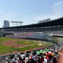 223-2-000049 | [잠실 직관 리뷰] 롯데 vs 두산(5.17) + 3루 레드석 223블록 후기 (낮경기 주의점)
