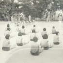 신촌초등학교 이미지