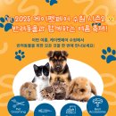 pet59나0157 | 🐕 2025 케이펫페어 수원 시즌2 🐱 반려동물과 함께하는 여름 축제!