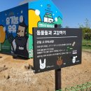 천북중학교 | [여행일기_대천보령여행] 보령우유창고 / 천북폐목장 청보리밭 / 바다노을 구경 / 주꾸미숙회 (1일째)