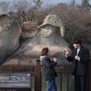 유달산 딸기 이미지