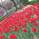 원신공원 이미지