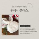 버니 이미지