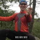 마파구이