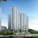 새(금호) 이미지