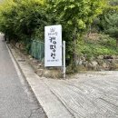 개네집 이미지