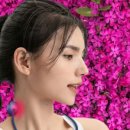 아비디따 이미지