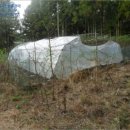 기호목장 이미지