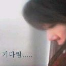 신미향 이미지