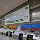 청해사 | [내돈내산/광주완도] 추천 여행 코스(맛집/카페)