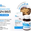 모닉 이미지