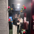 길목실내마차 | 내돈내산 합정역점 실내포차 [장미장] 힙한 포장마차를 찾는다면 바로여기!