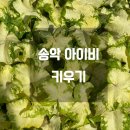아이비환경(주) 이미지