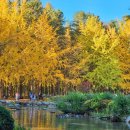 무 진 정 이미지