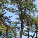 소풍가는 날 이미지