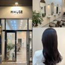 대전 탄방동 미용실 에이치뮤즈 시세이도 크리닉+뿌리펌+앞머리펌 고민 한번에 해결