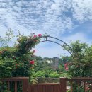 울릉명가펜션 이미지