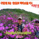 백마공원 이미지