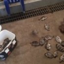 황산초지사계절바다낚시터 이미지