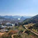 편안부동산중개사무소 이미지