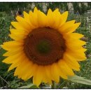 (주)정한산업 이미지