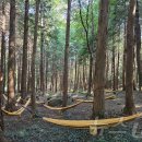 김태성농장 이미지