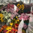 의성꽃화원 이미지