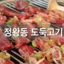 성순이 묵은지 | 정왕동 연탄구이전문점 도둑고기 정말 밥도둑이야
