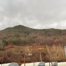 [밀양여행] 밀양글램핑장 추천 “우니메이카 밀양점” 솔직후기/ 캠핑음식메뉴추천