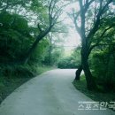 천성낚시터 이미지