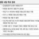 금성태양광