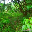 퇴촌면-7 이미지