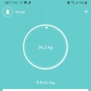 체형/비만 관리 이미지