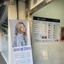 로이드밤고강점 이미지