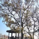 해맞이자동차정비 이미지