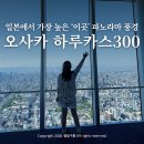 오사카 아이와 가볼만한곳 놀거리 추천 아베노 하루카스300 카페 간사이조이패스 이용 후기