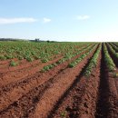 3원-天,地,人 이미지