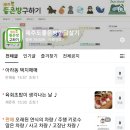 리얼플랜제주