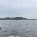 대산라인 이미지