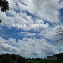 제주농산물 이미지