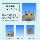 보이드랩 네이버블로그